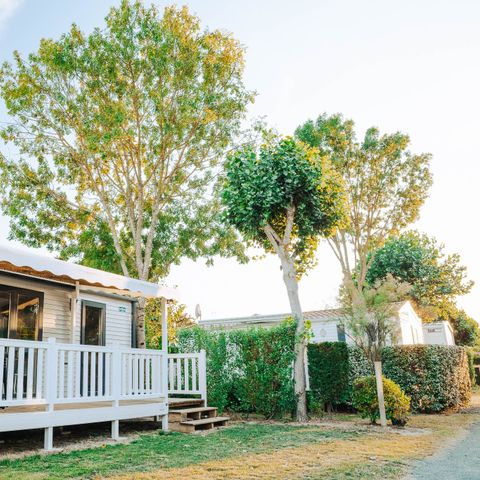 Mobilhome 6 personnes - SUNELIA - CONFORT - PLUS - 3 chambres - 35m² - Terrasse couverte