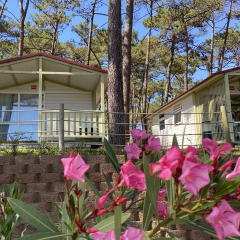 BUNGALOW 2 personnes - ATLANTICO