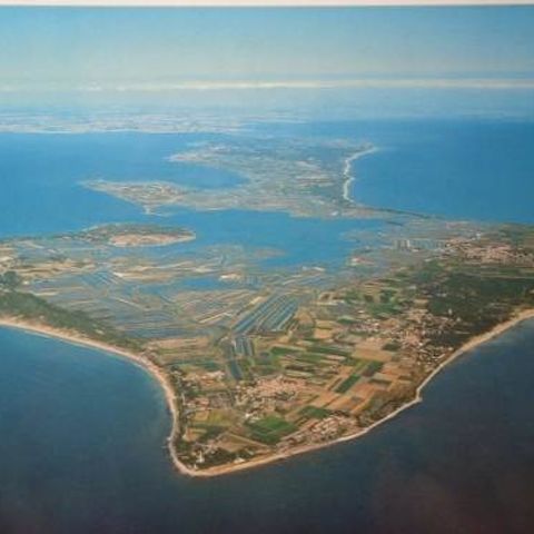 Camping Les Pérouses du Phare - Charente-Maritime - Image N°2