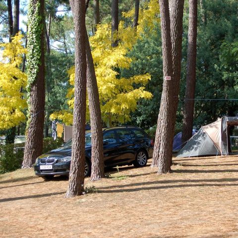 Emplacement - Forfait Confort avec électricité 10A