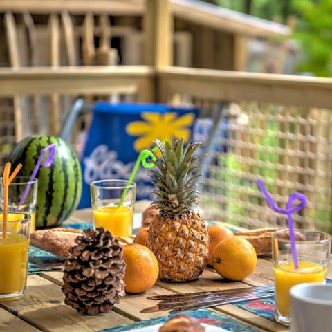 LODGE 5 personnes - Cosyflower 2ch -TV-plancha-terrasse couverte-28m² | CONFORT