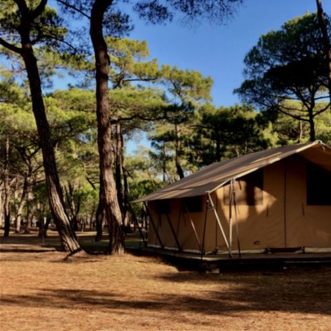 TENTE TOILE ET BOIS 4 personnes - Tente Toile & Bois, sans sanitaires