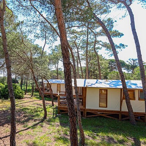 Camping La Tamarissière - Hérault - Image N°5