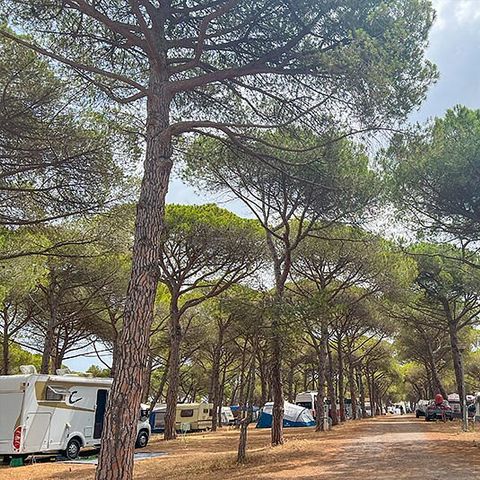 Camping La Tamarissière - Hérault - Image N°6