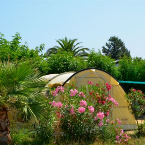 Emplacement - Camping