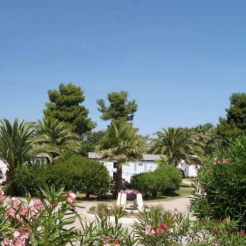 Emplacement - Camping