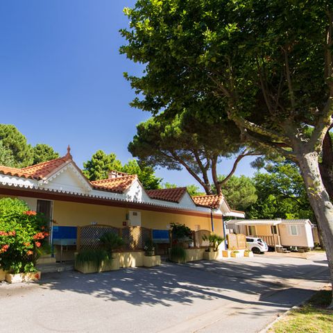 Emplacement - avec électricité