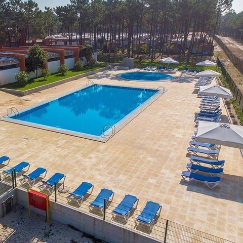 Camping Orbitur Vagueira - Centre du Portugal - Image N°2