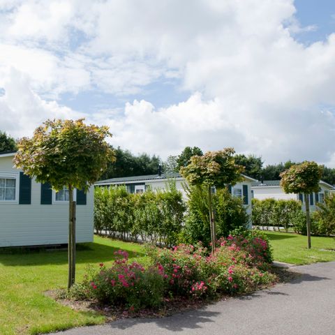 CHALET 6 personnes - Beaverlander