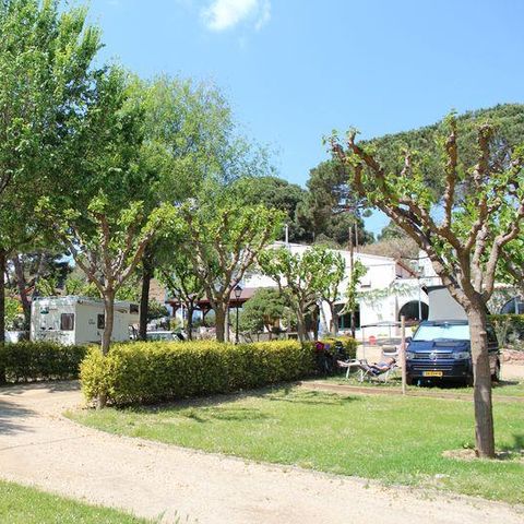 Emplacement - Plus - 1 voiture - Tente - Caravane ou camping-car - Électricité 2