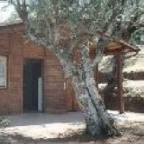 CHALET 2 personnes - Chalet