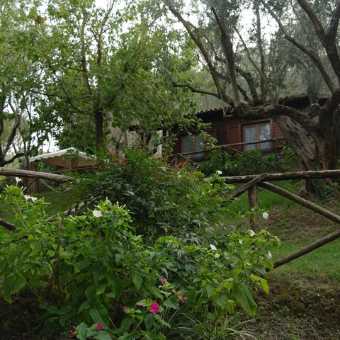 CHALET 2 personnes - Chalet