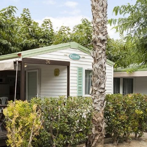 BUNGALOW 5 personnes - Ohara