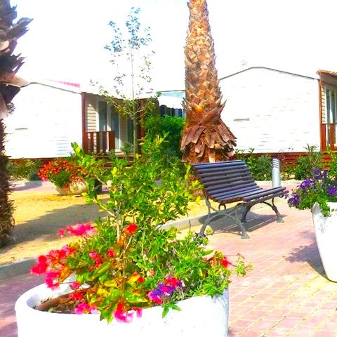MOBILHOME 6 personnes - PALMERES 6 pers