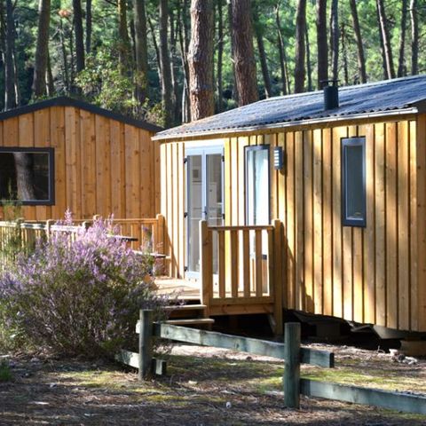 MOBILHOME 6 personnes - COTTAGE PREMIUM - Les Genêts | 4-6 pers.