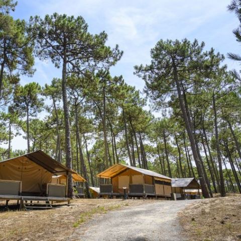 TENTE TOILE ET BOIS 5 personnes - Lodge Confort 4-5 personnes – Toile & Bois – 30 m² – 2 chambres – Électricité - Salle de bain