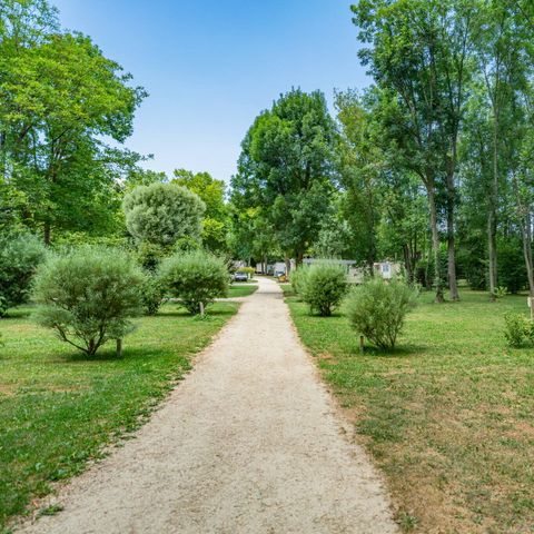 Emplacement - Emplacement | Essential | Tente | Véhicule + 7m | 100m² - 120m² | Électricité | Pas d'eau