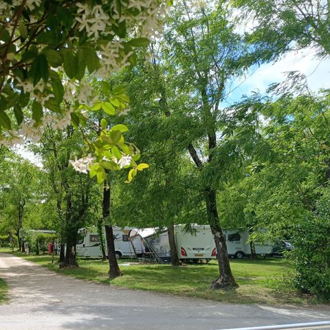 Camping La Digue - Ardèche - Image N°5