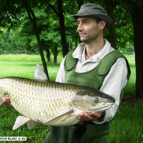 Emplacement - Forfait pêcheur ou accompagnant + véhicule