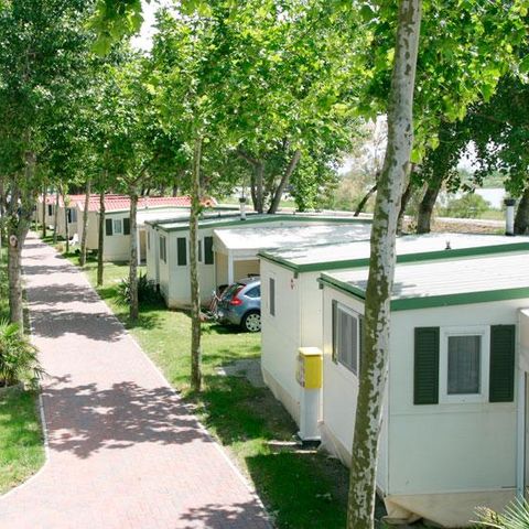 MOBILHOME 4 personnes - MAUI COMFORT