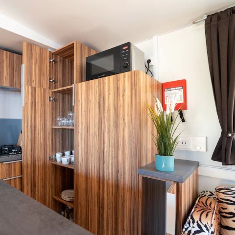 MOBILHOME 5 personnes - SunLodge Catalpa