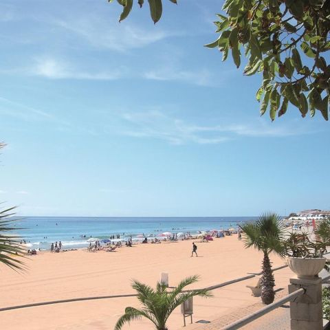 Camping Alannia Costa Dorada - Tarragone - Image N°3