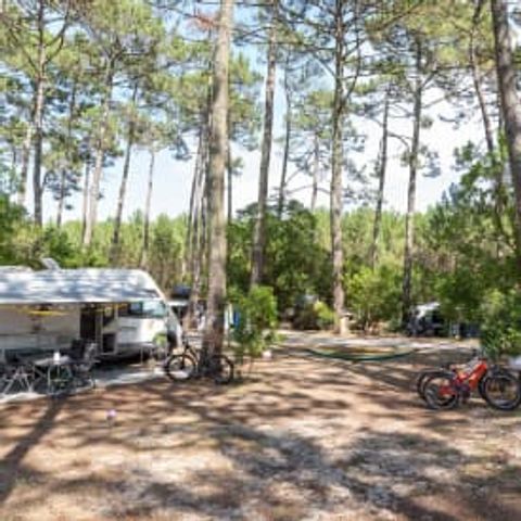 Emplacement - Emplacement Bord de Plage XL **