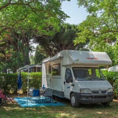Emplacement - Emplacement Bord de plage Camping Car **