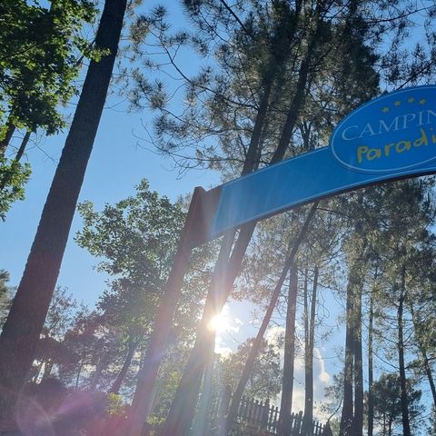 Camping Paradis - Bois Simonet - Ardèche - Image N°2