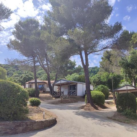Camping Versants (anciennement Parc des Chênes) - Var - Image N°4