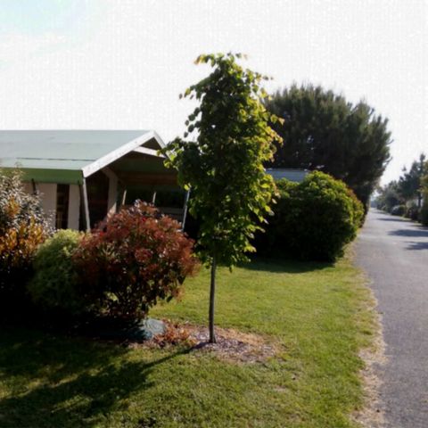 Tente en toile et en bois 5 personnes - LODGE SAHARI avec sanitaire privatif