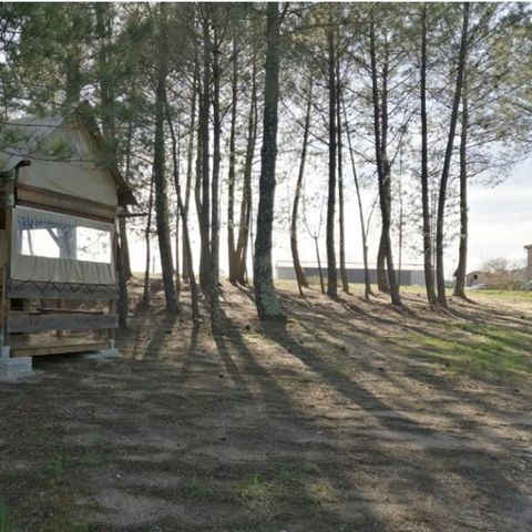 Hébergement 2 personnes - Hutte Cévenole 2p 1Ch