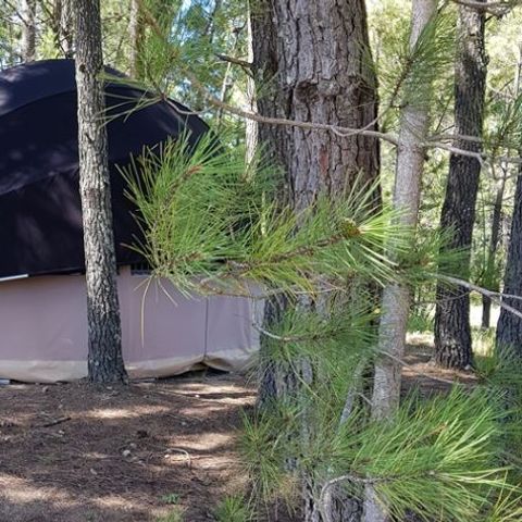 TENTE 4 personnes - Bulle Etoile d'Ardèche 4P