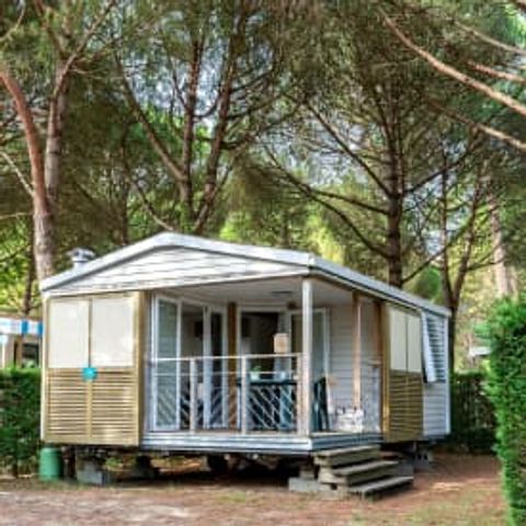 MOBILHOME 2 personnes - Cottage 2p 1ch **
