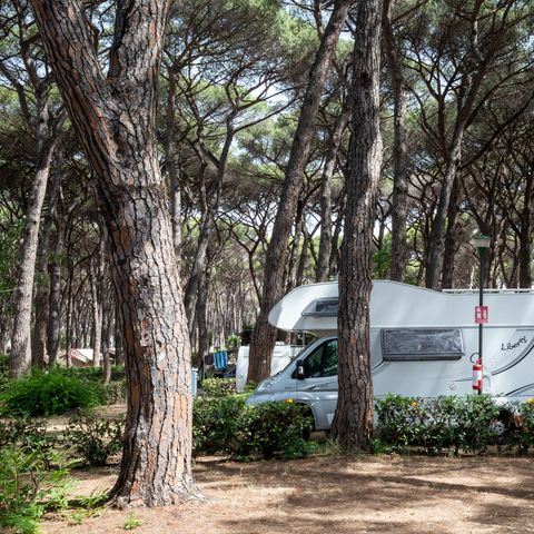 Emplacement - Camping car, Tente-remorque, Caravane