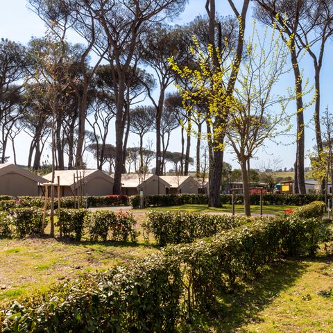 Emplacement - Camping car, Tente-remorque, Caravane