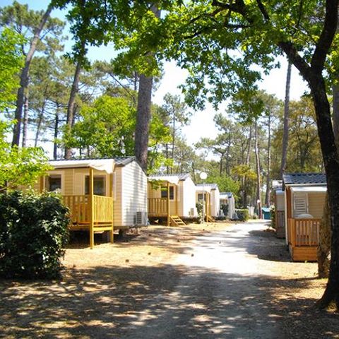 MOBILHOME 8 personnes - Clim'