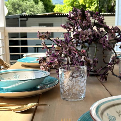 MOBILHOME 4 personnes - SENZA VISTA LAGO Lord 50mq