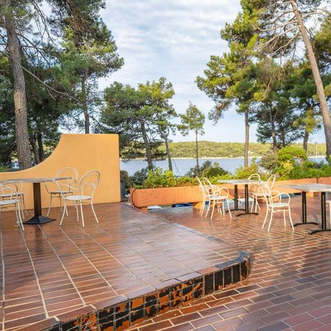 Camping Poljana  - Istrie - Image N°5