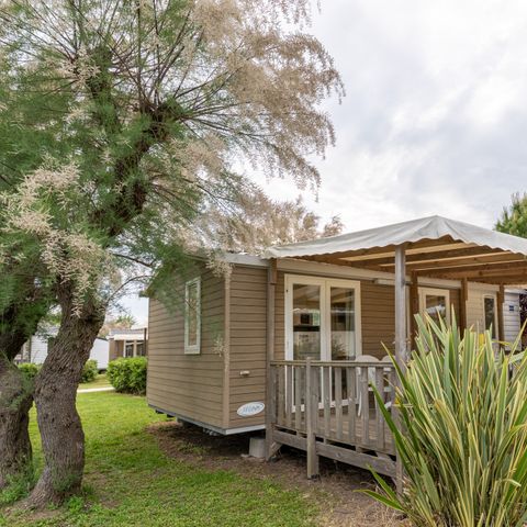 LODGE 4 personnes - Lodge Deluxe Animaux pas Admis