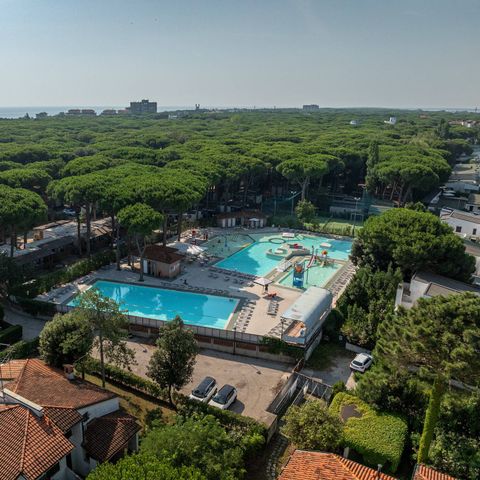 Camping Mare e Pineta - Ferrare - Image N°4
