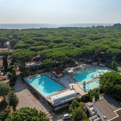 Camping Mare e Pineta - Ferrare - Image N°3