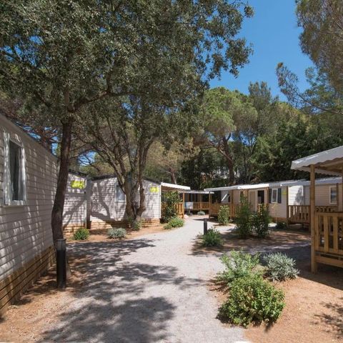 Camping Santa Elena Ciutat - Gérone - Image N°6