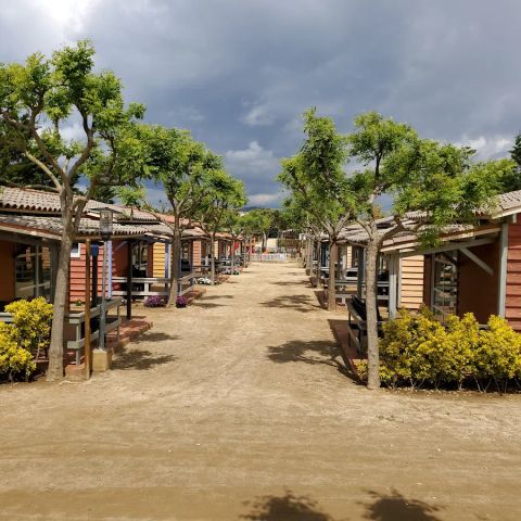 Camping Del Mar - Barcelone - Image N°5