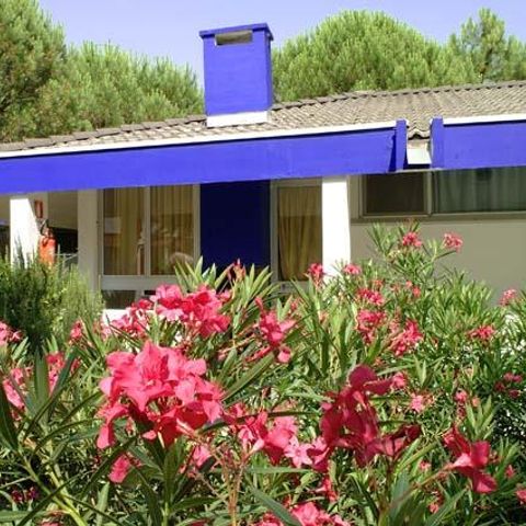 BUNGALOW 4 personnes - Superior
