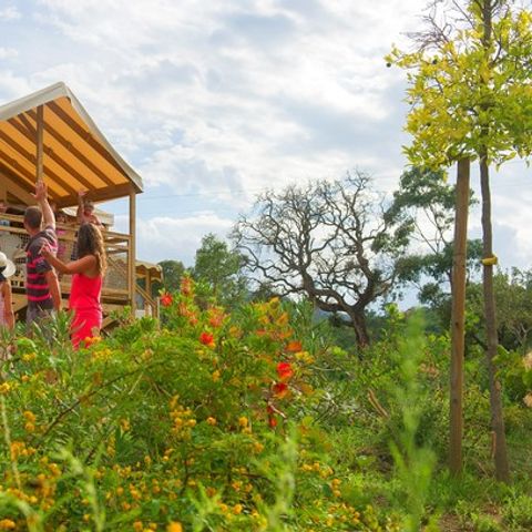 TENTE TOILE ET BOIS 5 personnes - Lodge