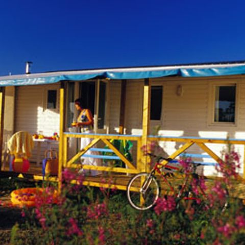 MOBILHOME 6 personnes - + CLIM