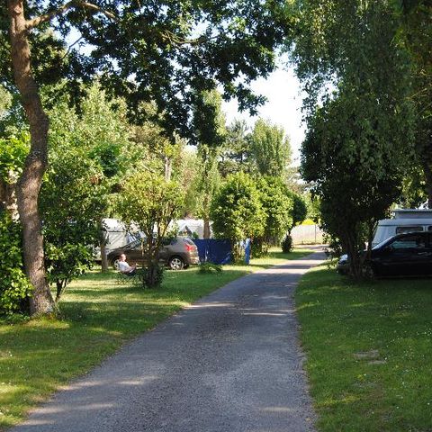 Emplacement - Empl. Raccordement Eau et Evacuation + voiture + douches chaudes + électricité 10A