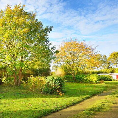 Emplacement - Emplacement | Cosy | Tente | Véhicule -7m | <85m² | Électricité | Eau