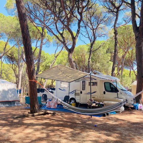 Emplacement - Standard Confort - 60-75m2 - : voiture - Caravane ou camping-car ou tente - Électricité